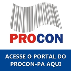 Acesse o portal do Procon-PA aqui