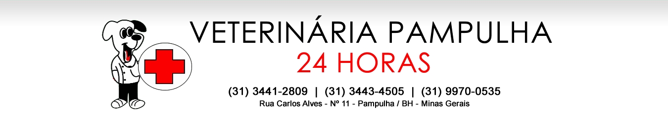 Veterinaria 24h em BH Pampulha